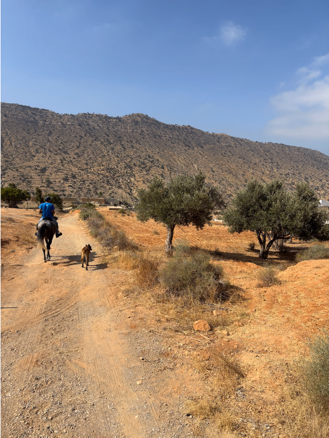 Balade équestre en montagne au sud du Maroc